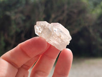 Natural Quartz Crystals x 70 From Mpika, Zambia