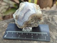 Natural Blue Lace Agate Geode Specimens x 12 From Nsanje, Malawi