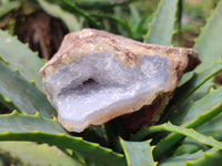 Natural Blue Lace Agate Geode Specimens x 12 From Nsanje, Malawi