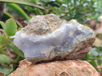 Natural Blue Lace Agate Geode Specimens x 12 From Nsanje, Malawi