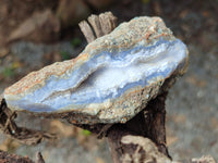 Natural Blue Lace Agate Geode Specimens x 12 From Nsanje, Malawi