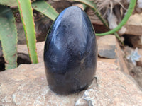 Polished Black Tourmaline Standing Free Forms x 2 From Madagascar