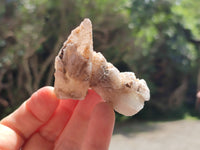 Natural Drusy Quartz Coated Calcite Pseudomorph Specimens x 12 From Alberts Mountain, Lesotho