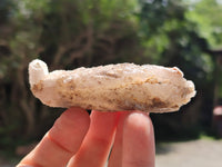 Natural Drusy Quartz Coated Calcite Pseudomorph Specimens x 12 From Alberts Mountain, Lesotho