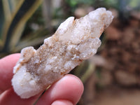 Natural Drusy Quartz Coated Calcite Pseudomorph Specimens x 12 From Alberts Mountain, Lesotho