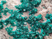 Natural Dioptase Cabinet Specimen x 1 From Congo