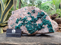 Natural Dioptase Cabinet Specimen x 1 From Congo