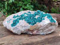 Natural Dioptase Cabinet Specimen x 1 From Congo