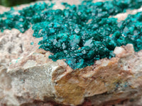 Natural Dioptase Cabinet Specimen x 1 From Congo