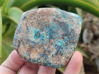 Polished Shattuckite With Azurite & Chrysocolla Free Forms x 6 From Congo