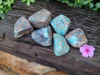 Polished Shattuckite With Azurite & Chrysocolla Free Forms x 6 From Congo