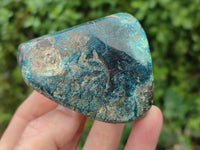 Polished Shattuckite With Azurite & Chrysocolla Free Forms x 6 From Congo