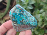 Polished Shattuckite With Azurite & Chrysocolla Free Forms x 6 From Congo