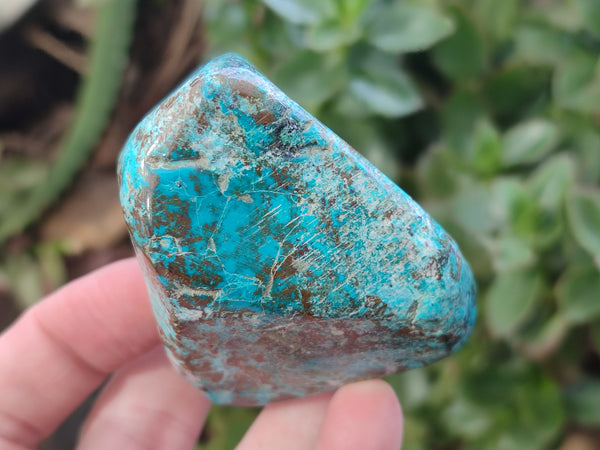 Polished Shattuckite With Azurite & Chrysocolla Free Forms x 6 From Congo