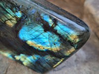 Polished Labradorite Standing Free Forms x 3 From Tulear, Madagascar