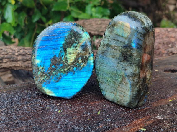 Polished Labradorite Standing Free Forms x 3 From Tulear, Madagascar