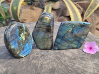 Polished Labradorite Standing Free Forms x 3 From Tulear, Madagascar