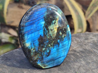 Polished Labradorite Standing Free Forms x 3 From Tulear, Madagascar