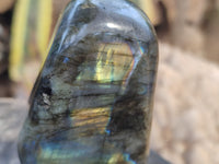 Polished Labradorite Standing Free Forms x 3 From Tulear, Madagascar