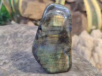 Polished Labradorite Standing Free Forms x 3 From Tulear, Madagascar