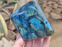 Polished Labradorite Standing Free Forms x 3 From Tulear, Madagascar