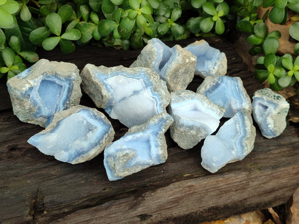 Natural Blue Lace Agate Geode Specimens x 10 From Nsanje, Malawi