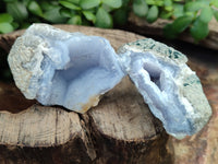 Natural Blue Lace Agate Geode Specimens x 10 From Nsanje, Malawi