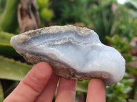 Natural Blue Lace Agate Geode Specimens x 10 From Nsanje, Malawi