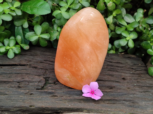 Polished Orange Twist Calcite Standing Free Form x 1 From Madagascar