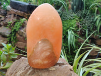 Polished Orange Twist Calcite Standing Free Form x 1 From Madagascar