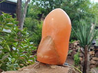 Polished Orange Twist Calcite Standing Free Form x 1 From Madagascar