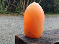 Polished Orange Twist Calcite Standing Free Form x 1 From Madagascar