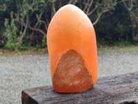 Polished Orange Twist Calcite Standing Free Form x 1 From Madagascar