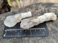 Natural Drusy Quartz Coated Calcite Pseudomorph Specimens x 14 From Alberts Mountain, Lesotho