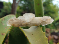 Natural Drusy Quartz Coated Calcite Pseudomorph Specimens x 14 From Alberts Mountain, Lesotho