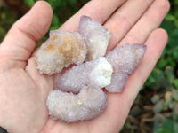 Natural Amethyst Spirit Quartz Clusters x 35 From Boekenhouthoek, South Africa