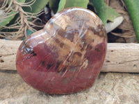 Polished Podocarpus Petrified Wood Heart x 1 From Mahajanga, Madagascar