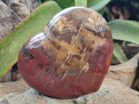 Polished Podocarpus Petrified Wood Heart x 1 From Mahajanga, Madagascar