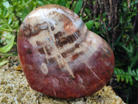 Polished Podocarpus Petrified Wood Heart x 1 From Mahajanga, Madagascar