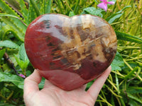 Polished Podocarpus Petrified Wood Heart x 1 From Mahajanga, Madagascar