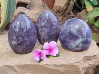 Polished Lepidolite Standing Free Forms x 3 From Madagascar