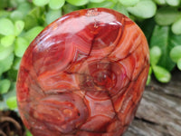 Polished Carnelian Standing Free Forms x 3 From Madagascar