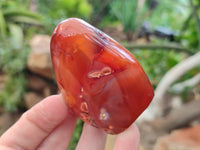 Polished Carnelian Standing Free Forms x 3 From Madagascar