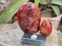 Polished Carnelian Standing Free Forms x 3 From Madagascar