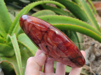 Polished Carnelian Standing Free Forms x 3 From Madagascar