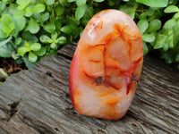 Polished Carnelian Standing Free Forms x 3 From Madagascar