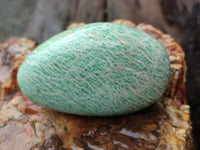 Polished Amazonite Palm Stones x 12 from Zimbabwe