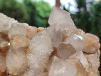 Natural Spirit Quartz Cluster x 1 From Boekenhouthoek, South Africa