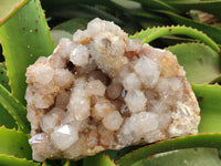 Natural Spirit Quartz Cluster x 1 From Boekenhouthoek, South Africa