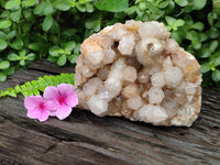 Natural Spirit Quartz Cluster x 1 From Boekenhouthoek, South Africa